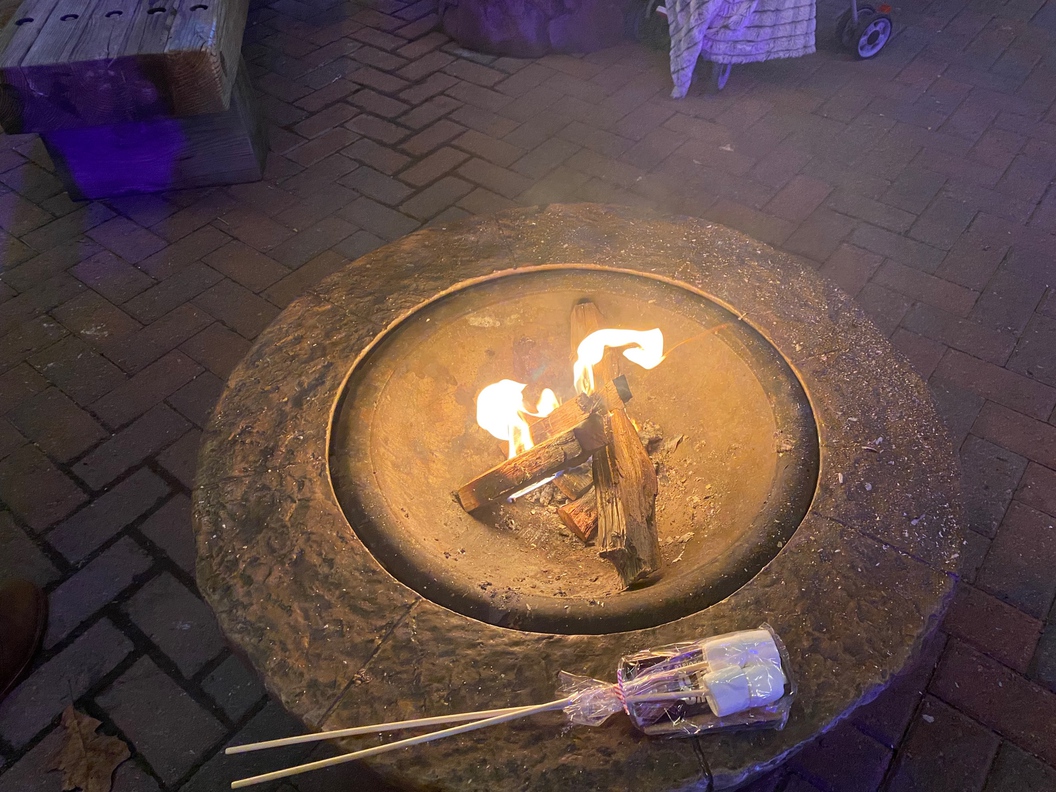 This is a fire pit where park guests can roast marshmallows and make s'more treats.
