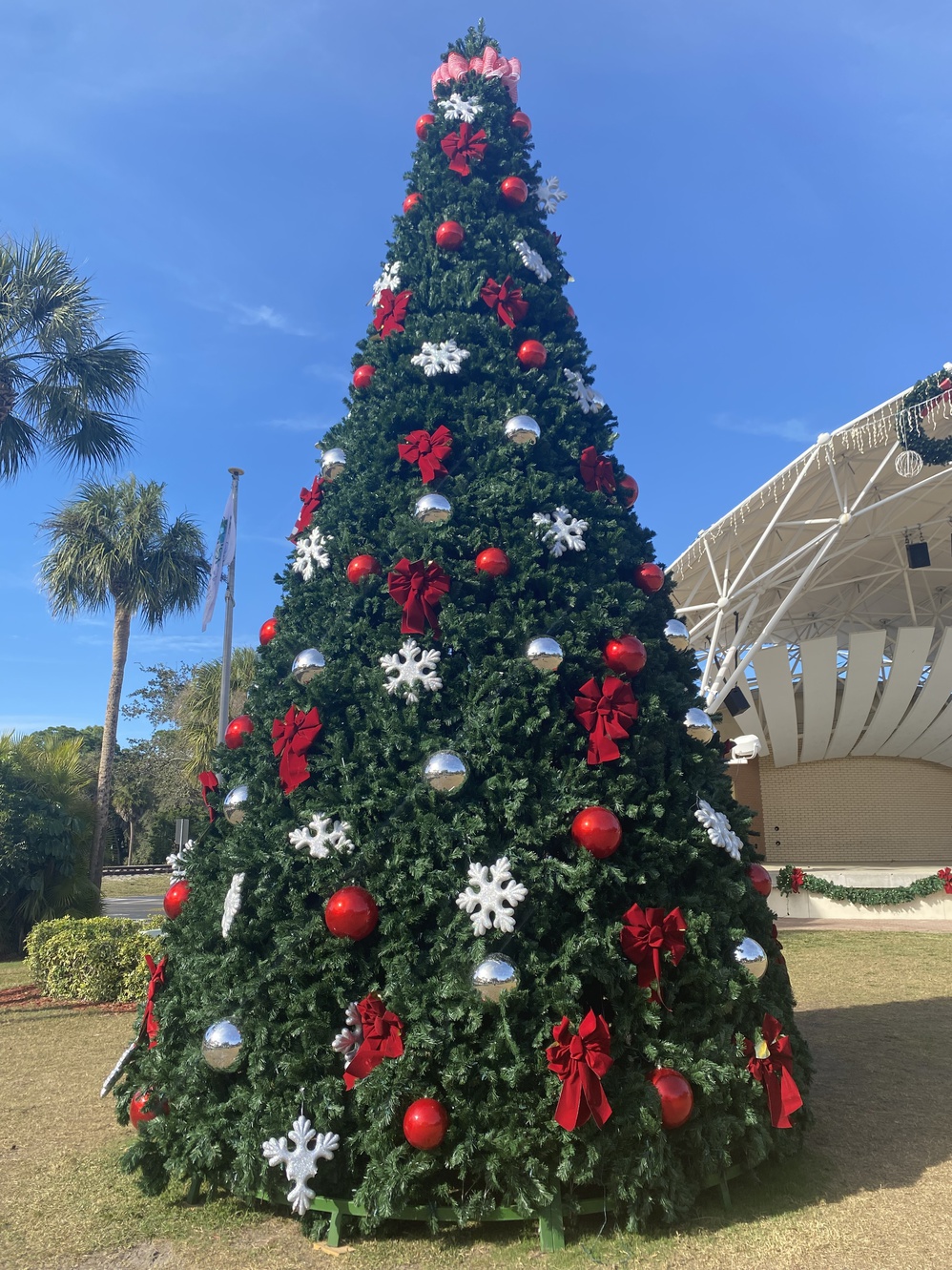 This Christmas tree was lit the previous evening for all of
      Bonita Springs to enjoy.