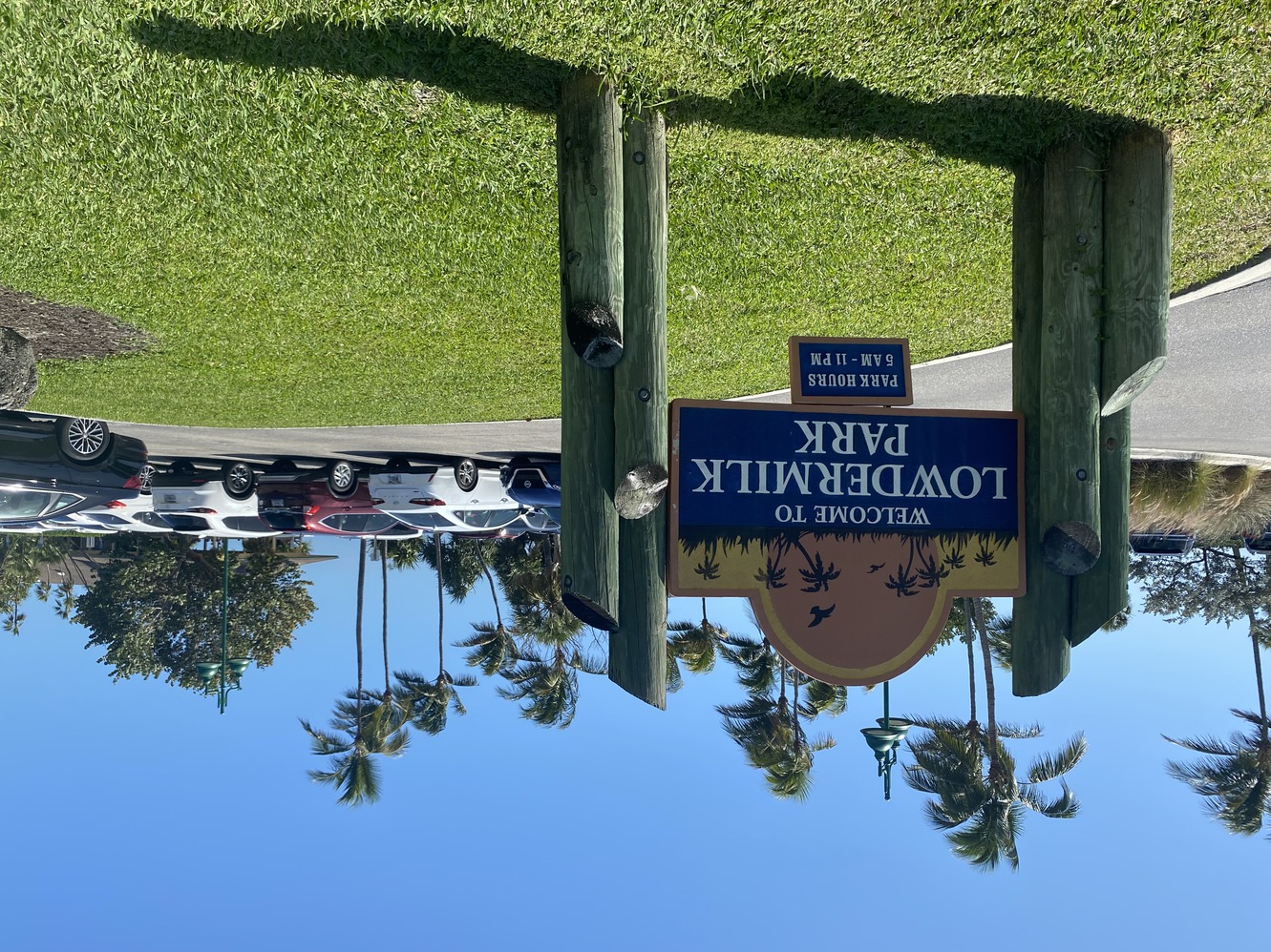 The parking lot
        of Lowdermilk Park . . . it's full!