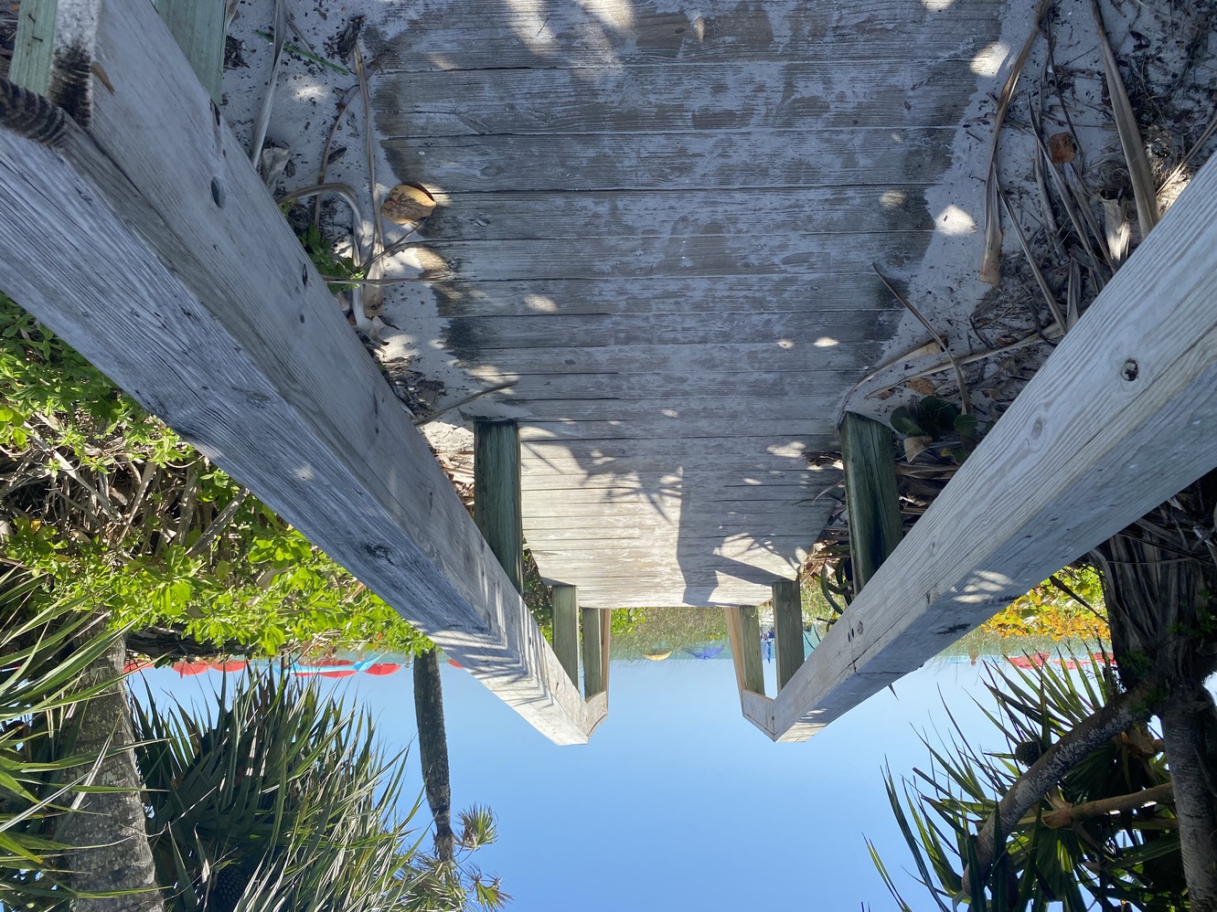 This is one of
        the pathways to the beach.