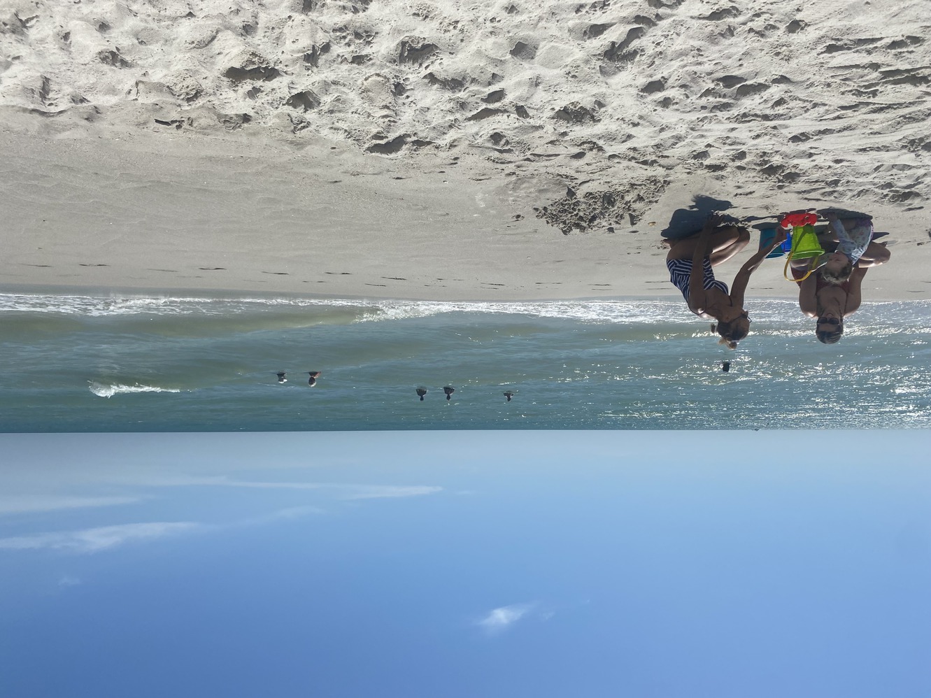 Digging in the
        sand for sea treasures.