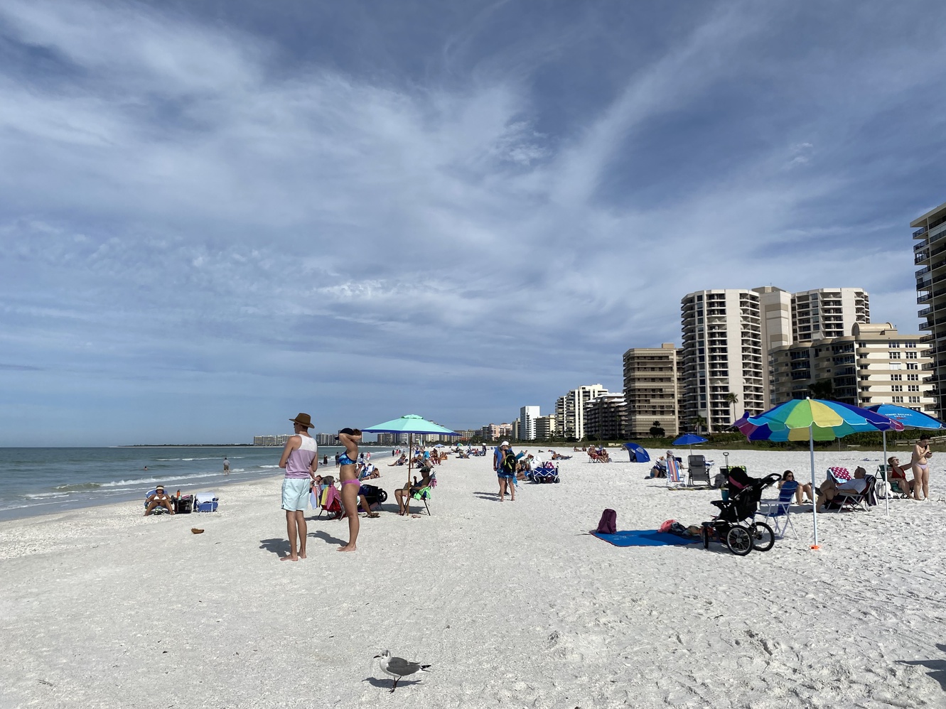 This is a comprehensive, almost panoramic view of Marco
      Island's Gulf side.