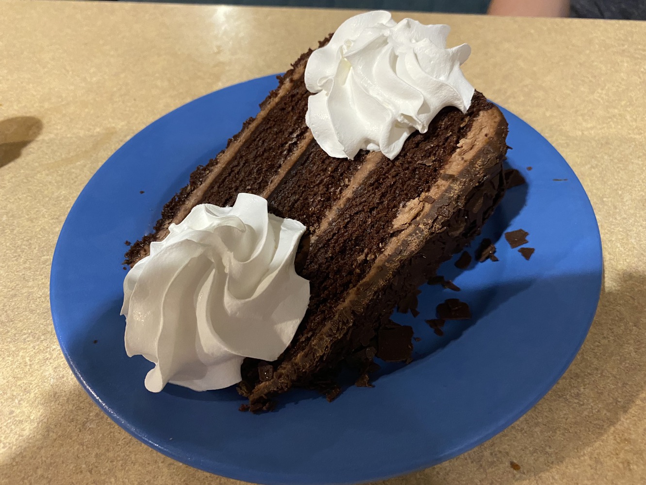 Chocolate
            cake with chocolate shavings.