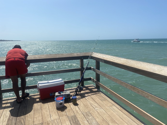 Looking south from the Pier.